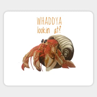 Whaddya Lookin At? Sticker